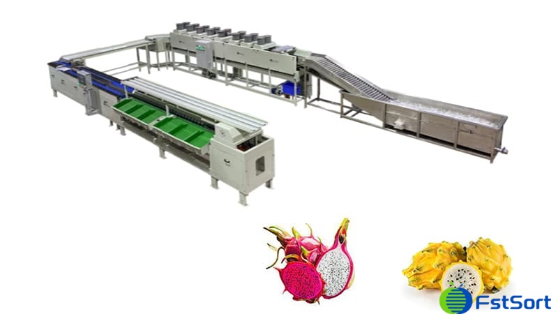 images/1712562744672Máquina clasificadora de frutas kirin.jpg